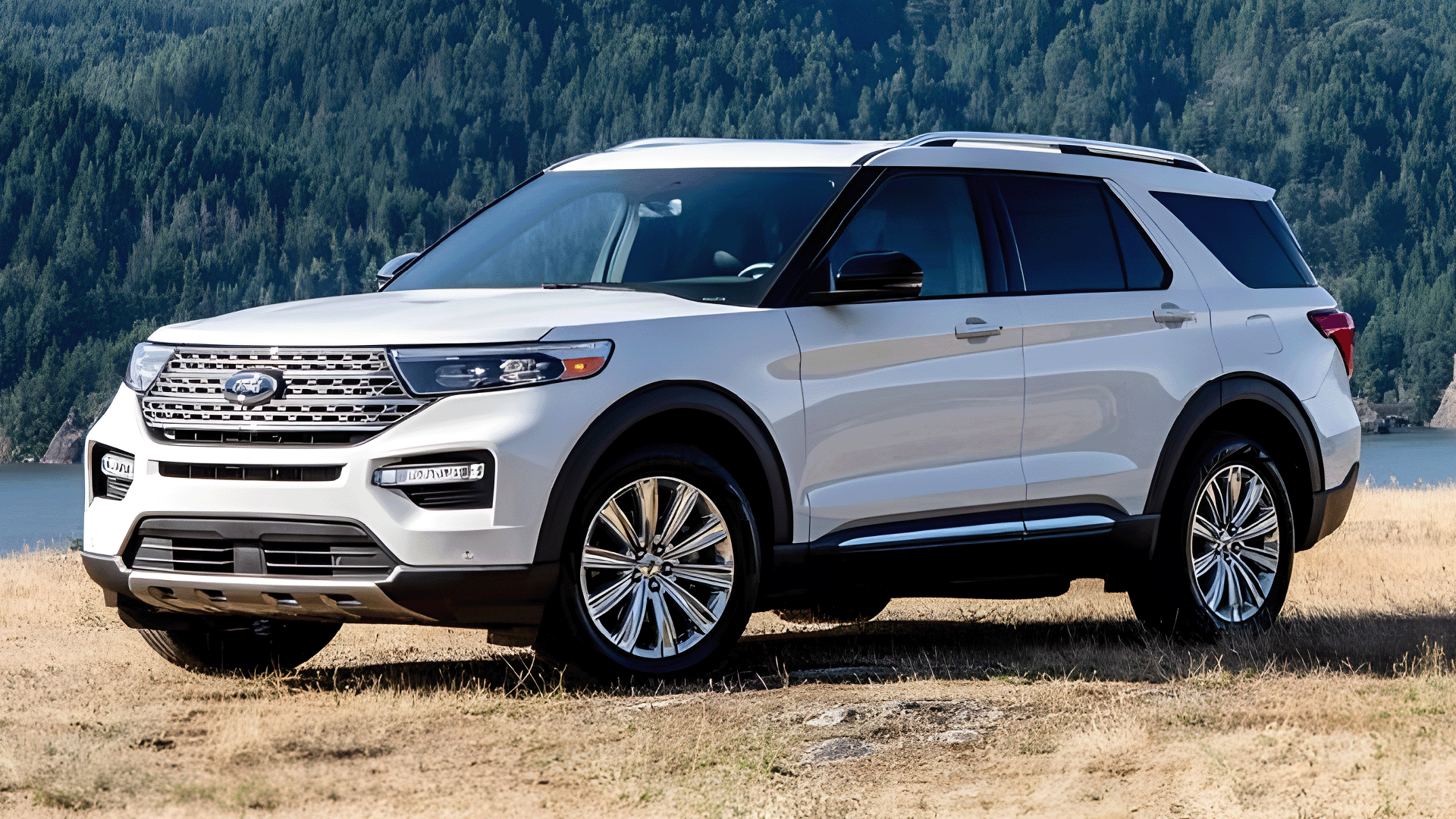 Explorer Limited 310A